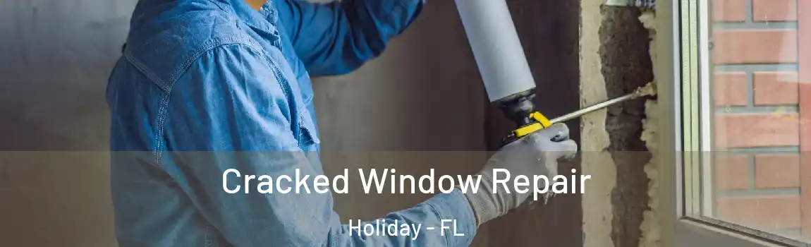 Cracked Window Repair Holiday - FL
