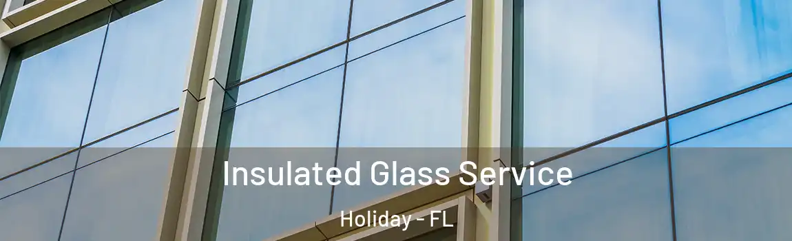 Insulated Glass Service Holiday - FL