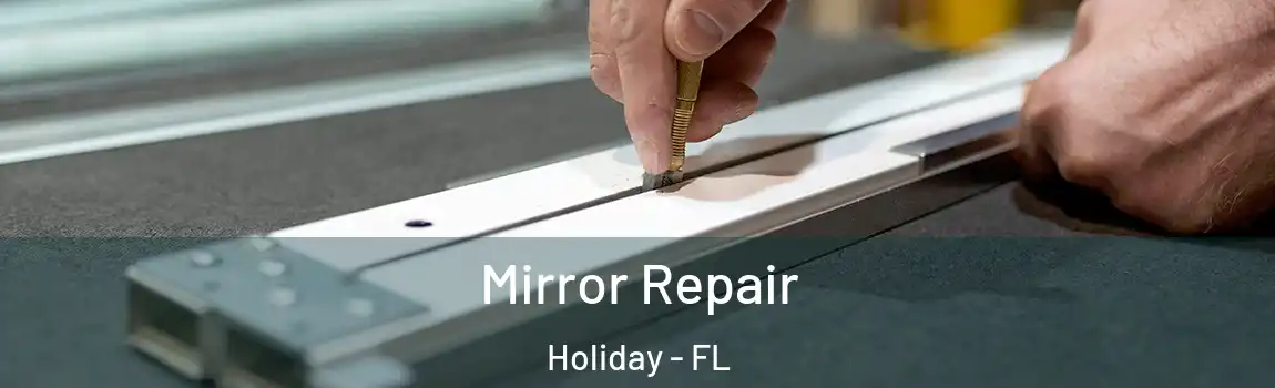 Mirror Repair Holiday - FL