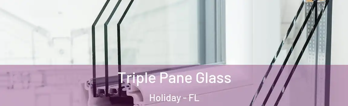 Triple Pane Glass Holiday - FL