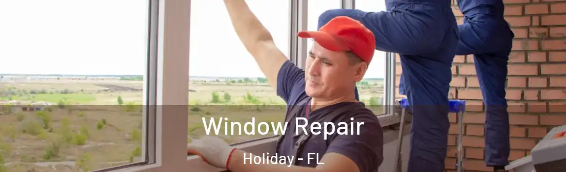 Window Repair Holiday - FL