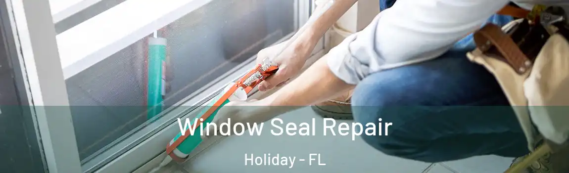 Window Seal Repair Holiday - FL
